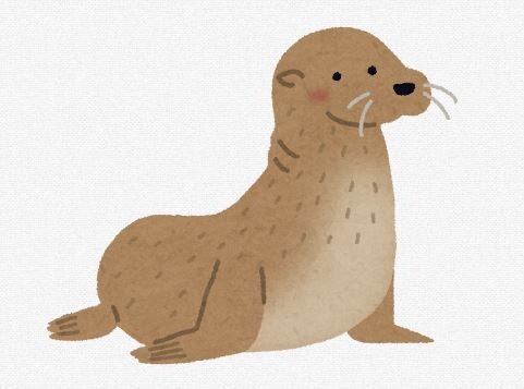 【画像】カワウソの赤ちゃんｗｗｗｗｗｗｗｗｗ