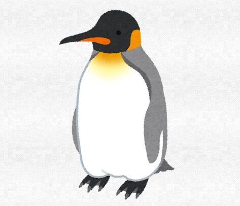 何でペンギンって日本に住まないの？