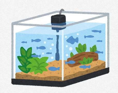 水槽環境がなんやかんやでええ環境に仕上がったわ → なんか余計なことする → 大変なことに