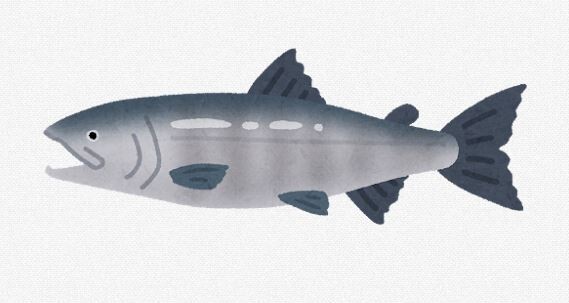 【北海道】「秋サケが不漁なので釣らないで！」　自粛を呼びかけ 根室地方