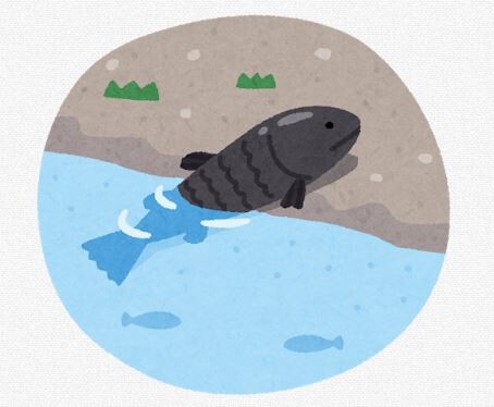 大昔、魚が陸に上がる時にさ