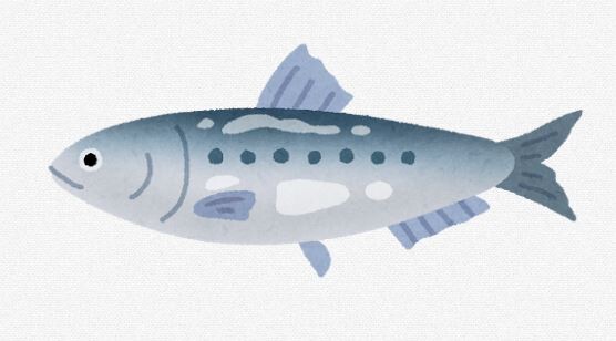 【悲報】　「イワシ」とかいうしょうもない魚、スーパーで場所を取り始める……