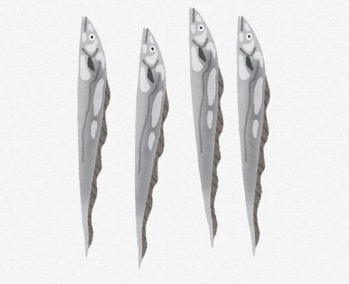タチウオって秋田では喜ばない魚だが関東では喜ぶんだな