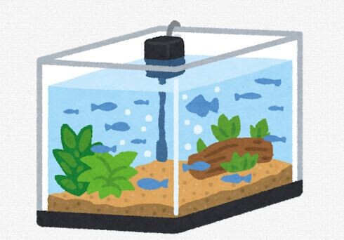 金魚飼いたいんやが、水槽大きい方が良いかな？