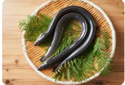 【鰻】専門家｢ウナギの流通量はかなり減少か｣ もしニホンウナギがワシントン条約の規制対象になったら… 動物保護の観点では｢キリン｣などと同じ扱い