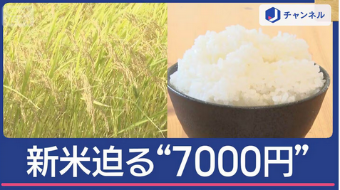 【新米 “高騰” 迫る5キロ7000円】精米店社長 「去年のコメ不足から全部くるって正常化していない、事態が悪化している、1年かけて一番悪いほうに進んでいる、それを止める方法がない」