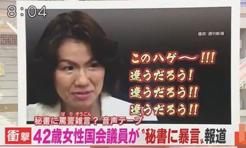 【速報】「このハゲ～」の豊田真由子、参政党入り