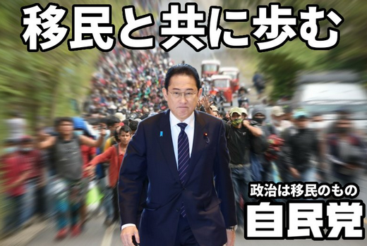 ぶっちゃけ聞きたいんだけど､何で君たちは保守なのに移民党に投票し続けて日本を外国人だらけにした？