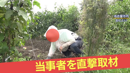 【名古屋】河川敷で“ヤミ畑”横行…「日本語わからない」外国人の姿も　私有地と国有地の境界が“曖昧”　行政代執行に大きな壁