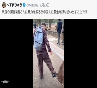 へずまりゅう「これが中国人が鹿蹴った証拠の動画だ」→台湾人が「鹿を蹴る日本の老人」として投稿した動画の転載でした