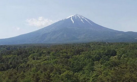 【山梨】青木ヶ原樹海で迷う　キノコ狩りの男性を救助　1人で樹海に入って約10分後に迷う