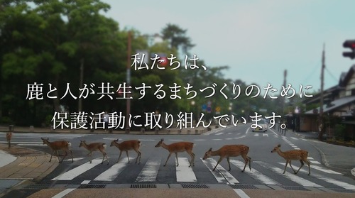 へずまりゅう、ついに長年鹿を守ってきた「鹿愛護会」への攻撃を開始し名実共に鹿の敵に