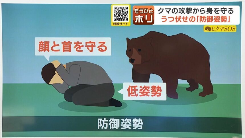 【クマに襲われた時】とにかく低姿勢で我慢　首と顔を守ること