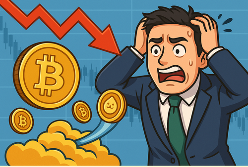 【終焉】BTCの暴落止まらず..関連のミームコインに大口資金が流れる展開に