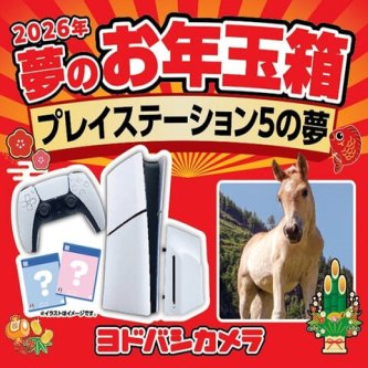 【朗報】ヨドバシ福袋『PS5の夢』爆誕！Switch2の夢はナシ！！