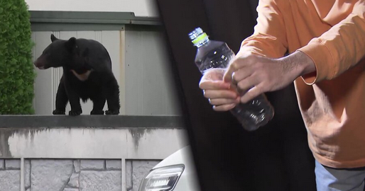 【文科省】「空のペットボトル」が“熊対策”に?森にない「ペコペコ音」で撃退か　過去最悪12人死亡の“熊災害”警察官がライフル銃で駆除へ