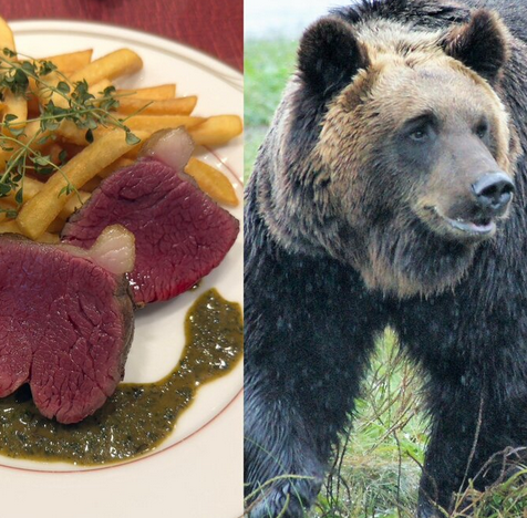 【SNS】ツキノワグマ串が大バズり 「駆除して食べる」は対策になるのか？　青森の販売元が語った“本当の課題”