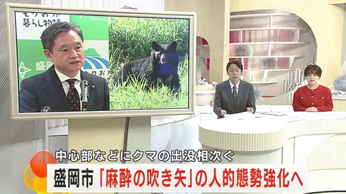 【岩手】「麻酔の吹き矢」の人的態勢強化へ　盛岡市長が吹き矢を使った捕獲重視を示す　中心部などにクマの出没相次ぐ