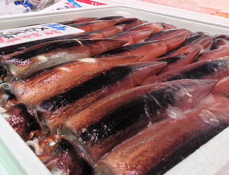 水産庁　スルメイカの漁獲枠 7%増へ　小型船の禁漁は維持　不意の豊漁ですでに漁獲枠超過