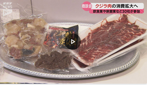 「クジラ肉」の消費量、全盛期の100分の1に落ち込む。ネトウヨは口先だけで食ってないことがバレるw