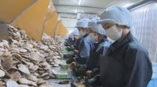 【国際】中国が水産物輸入停止を伝達　「処理水」理由、日本政府へ