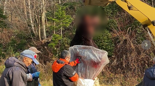 【北海道苫前町】箱わなに約400kgの巨大クマ　駆除