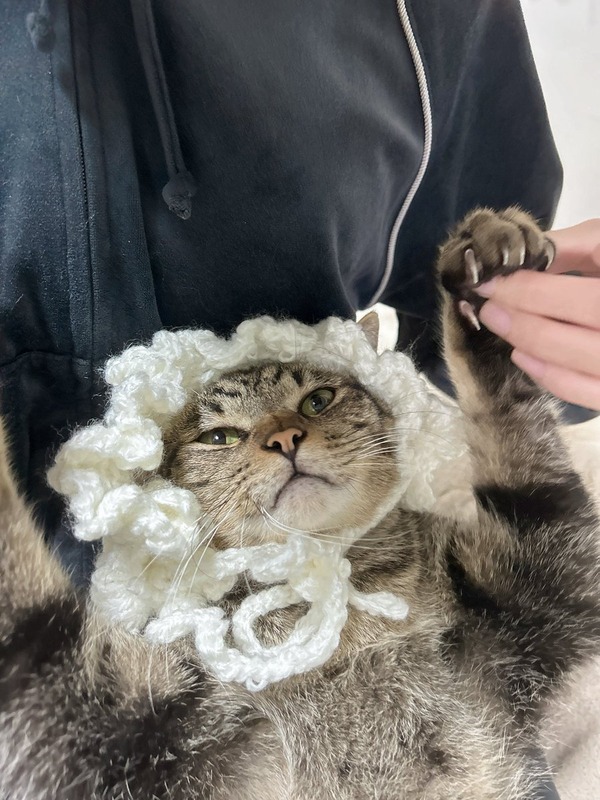 【梁瀬鈴雅】猫用のヘッドドレス編んでみました