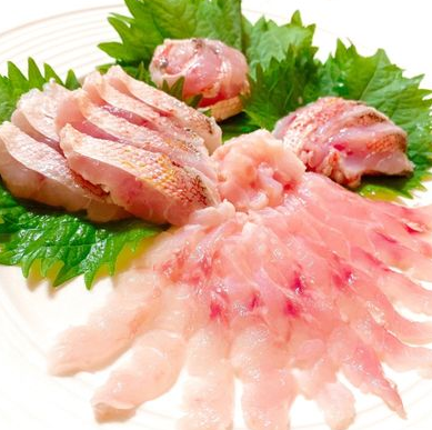 【食】甘鯛の刺身は世界一旨いってホント？