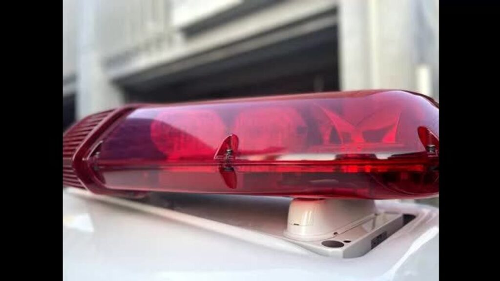 おまえら見たか？犬が吠えた先に衝撃の真実ｗｗｗ