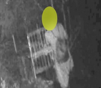 【福岡】害獣駆除の「箱罠」に妨害行為相次ぐ　扉を蹴り上げて閉める不審人物も…猟友会から相談受け警察は「警告」などの対応