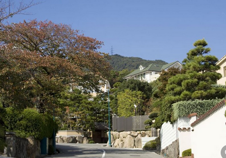 【六麓荘】町内会は入会金50万円、よそ者が歩けばすぐ通報…田園調布や松濤とは違う「日本で一番お金持ちが住む街」の掟