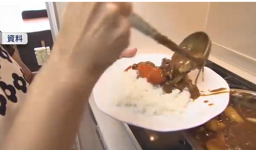 【帝国データバンク】カレーライス1食451円 物価指数が過去10年で最高値…猛暑・コメ価格高騰など影響