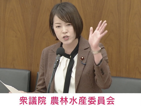 【政治】れいわ・八幡議員「有馬記念が盛り上がって、誰かがその裏で泣く。うちのお父さんもひどかった。ギャンブルで一家離散してる」 鈴木大臣「私も負けて涙を流した」 競馬と農水省について議論