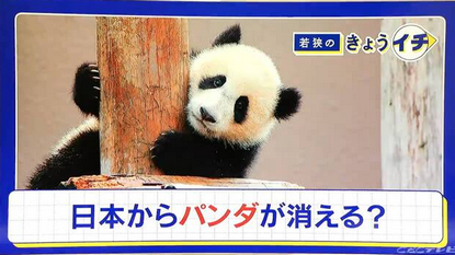 【経済効果】国内“ゼロパンダ”で失われる経済効果 1年間で約195億円 関西大宮本名誉教授が分析