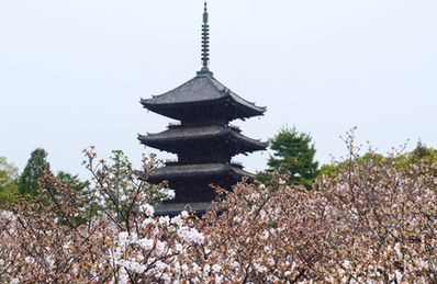 【中央日報】日本の宿泊費が2万円から3000円台に"暴落"…中国人観光客消失の影響