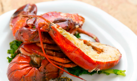 【国際】生きたままゆでるの禁止　ロブスターにも苦痛　英