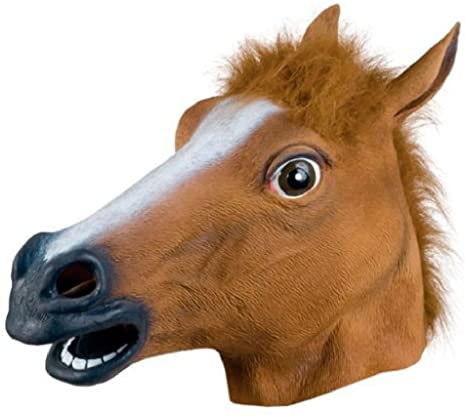 【生命】馬「いてて骨折しちゃった」人間「仕方ないなぁ」馬「すまんな治療頼むやで」