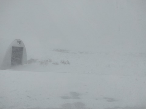 青森やけどめっちゃ吹雪いとる