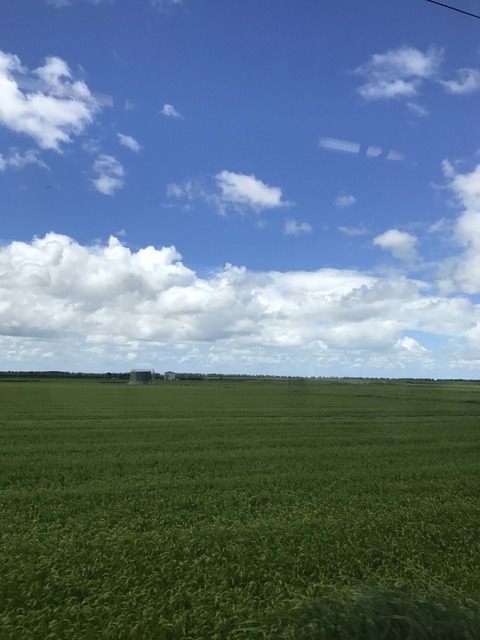 お前らが思う美しさってどんなの?【再掲】