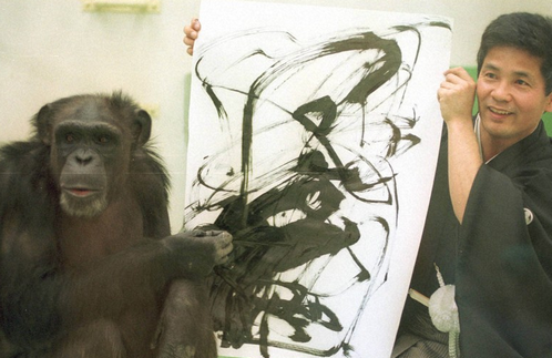 天才チンパンジーのアイ逝く、49歳 研究に貢献、人を上回る成績も