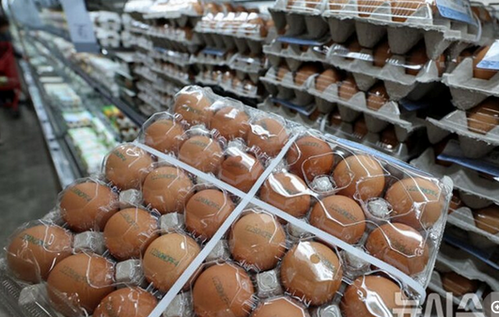 【国際】韓国で卵価格が「30個入り790円」超え…政府は緊急輸入を決定