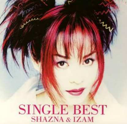 【モラハラ】女装で一世を風靡したIZAM、元グラドルの妻に「胸元が空いている。白いスカートも透けるからダメ」と服装に強い口出し　娘にも「スカートが短すぎる」と言い、そのままゴミ箱へ捨てる⇒ 元旦離婚