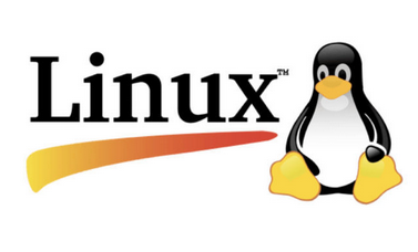 今、密かに起きている｢Windows離れ｣。“思ったより快適な移住先”とは「Linux」