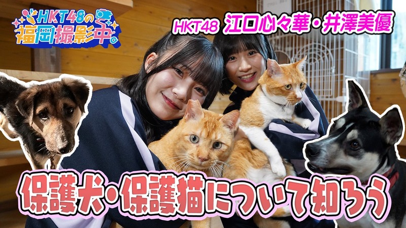 【HKT48の福岡撮影中】 #井澤美優 #江口心々華 が 福岡県動物愛護センターへ