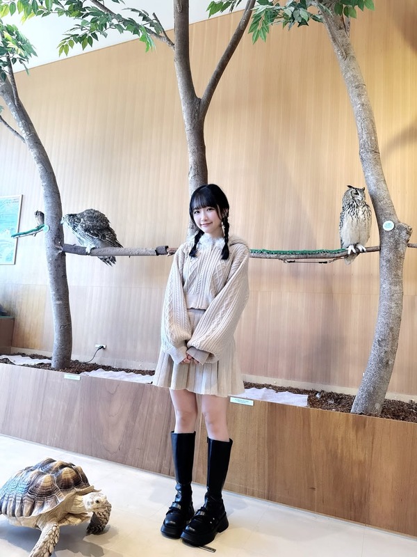 【江口心々華】ふくろうと亀とここちゃん