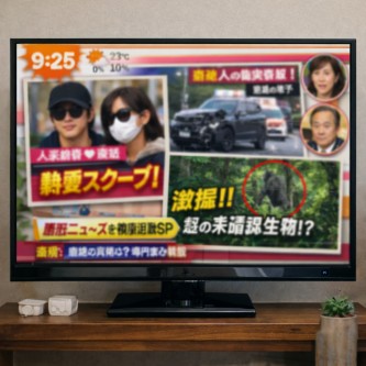 【画像】ワイドショー、堂々と嘘をつく