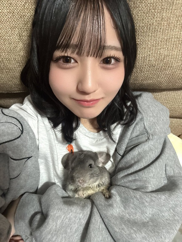 【石松結菜】愛するチンチラの日