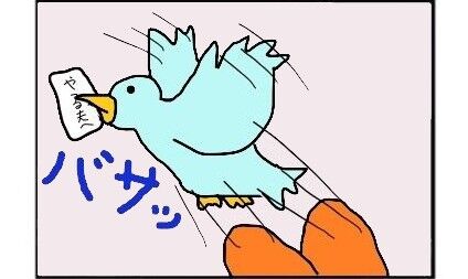 京都で生まれ行方不明だった「コウノトリ」、韓国で地元小学生が発見…個体判別の足環で確認