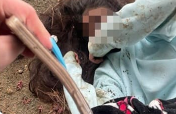 会,津の中学校でやばい集団イジメ　女子中学生を殴る蹴るスマホ破壊など