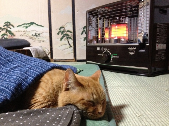 電気代高すぎるから灯油ストーブ買った結果→